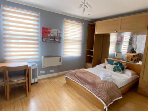 Immaculate Studio Apartment in Central London